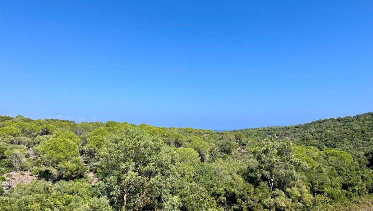 3 Bed, 2 Bath, ApartmentFor Sale, La Alcaidesa, Malaga