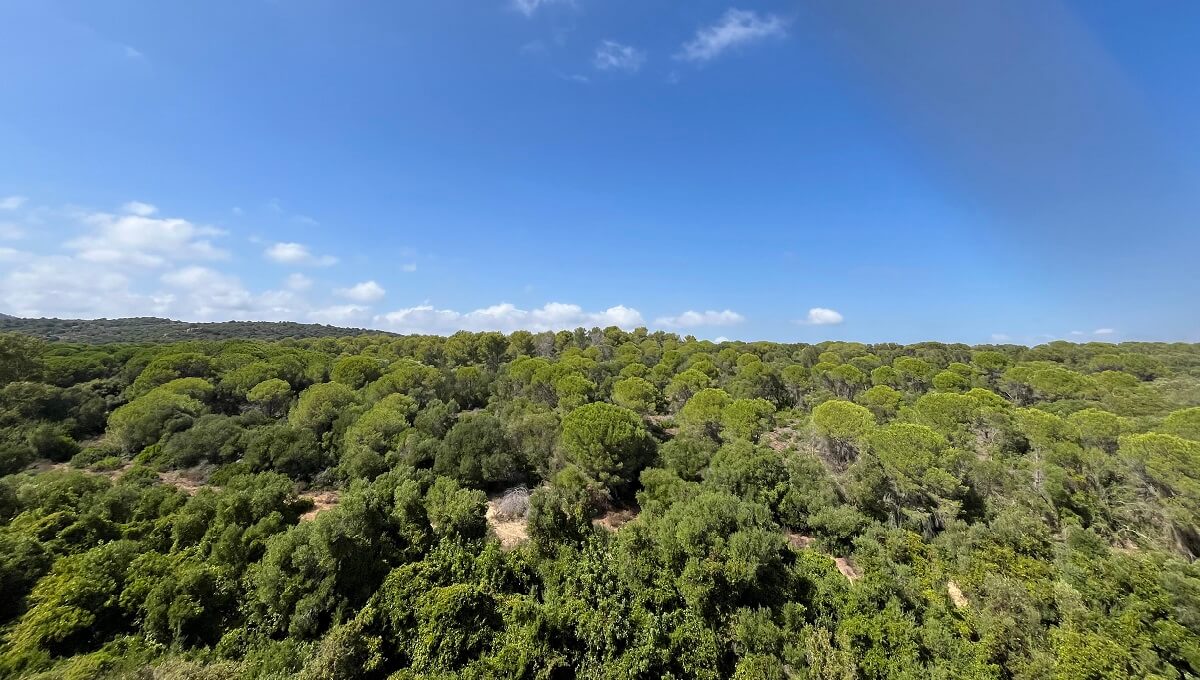 3 Bed, 2 Bath, ApartmentFor Sale, La Alcaidesa, Malaga