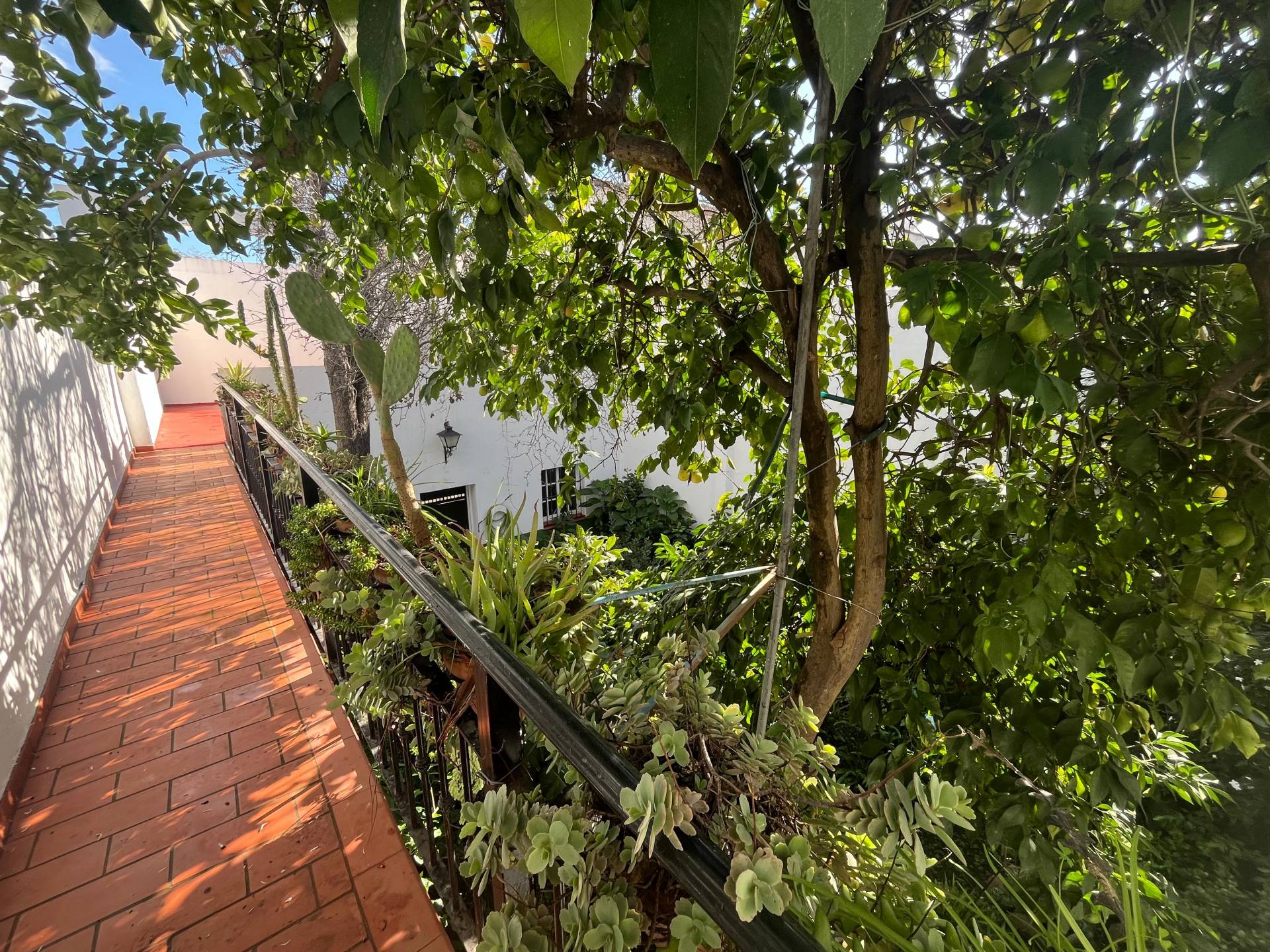 4 Bed, 2 Bath, HouseFor Sale, Jimena de la Frontera, Cadiz, 11330