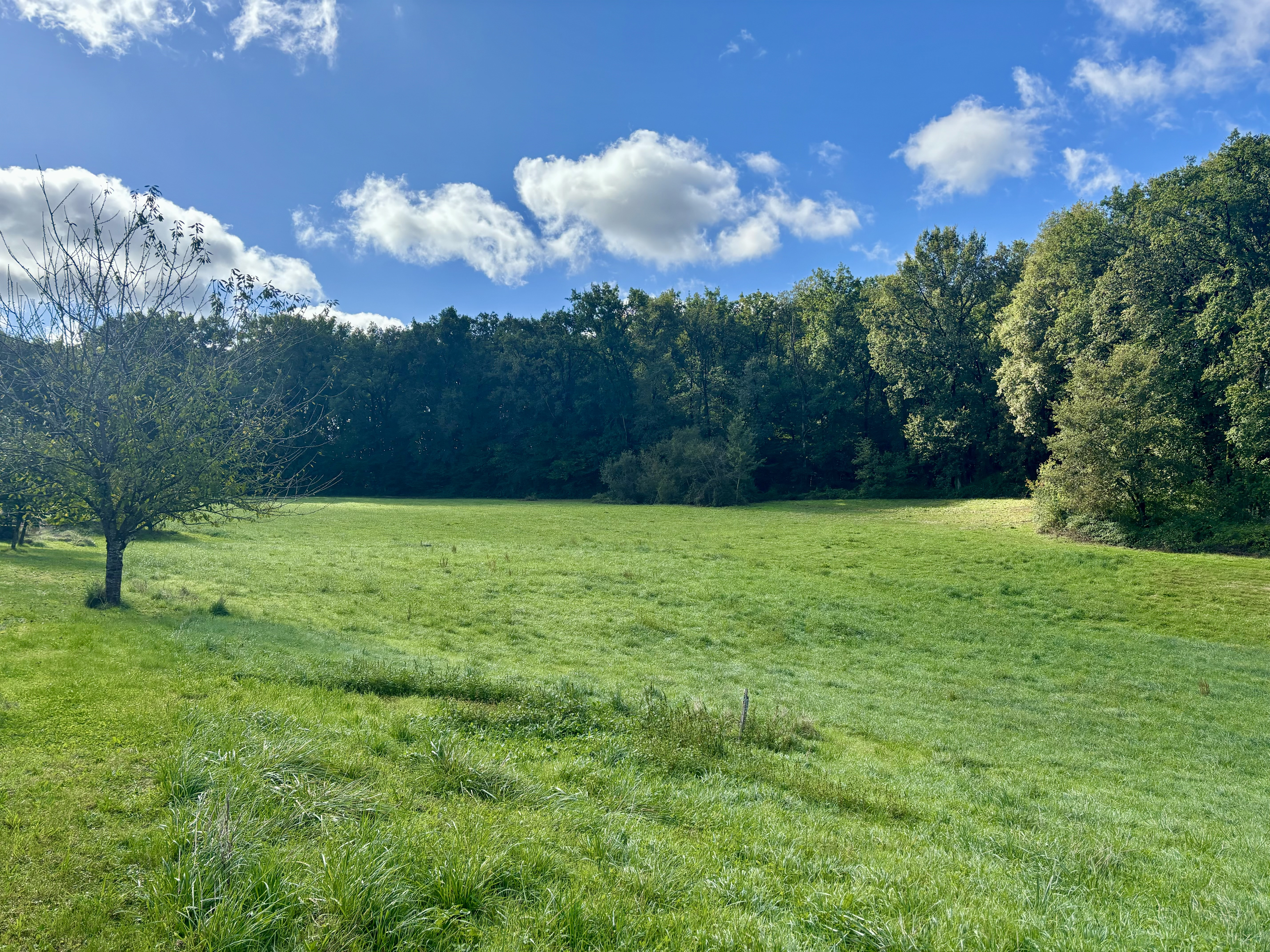 4 Bed, 2 Bath, HouseFor Sale, Monsempron libos, Lot-et-Garonne, Aquitaine, 47500