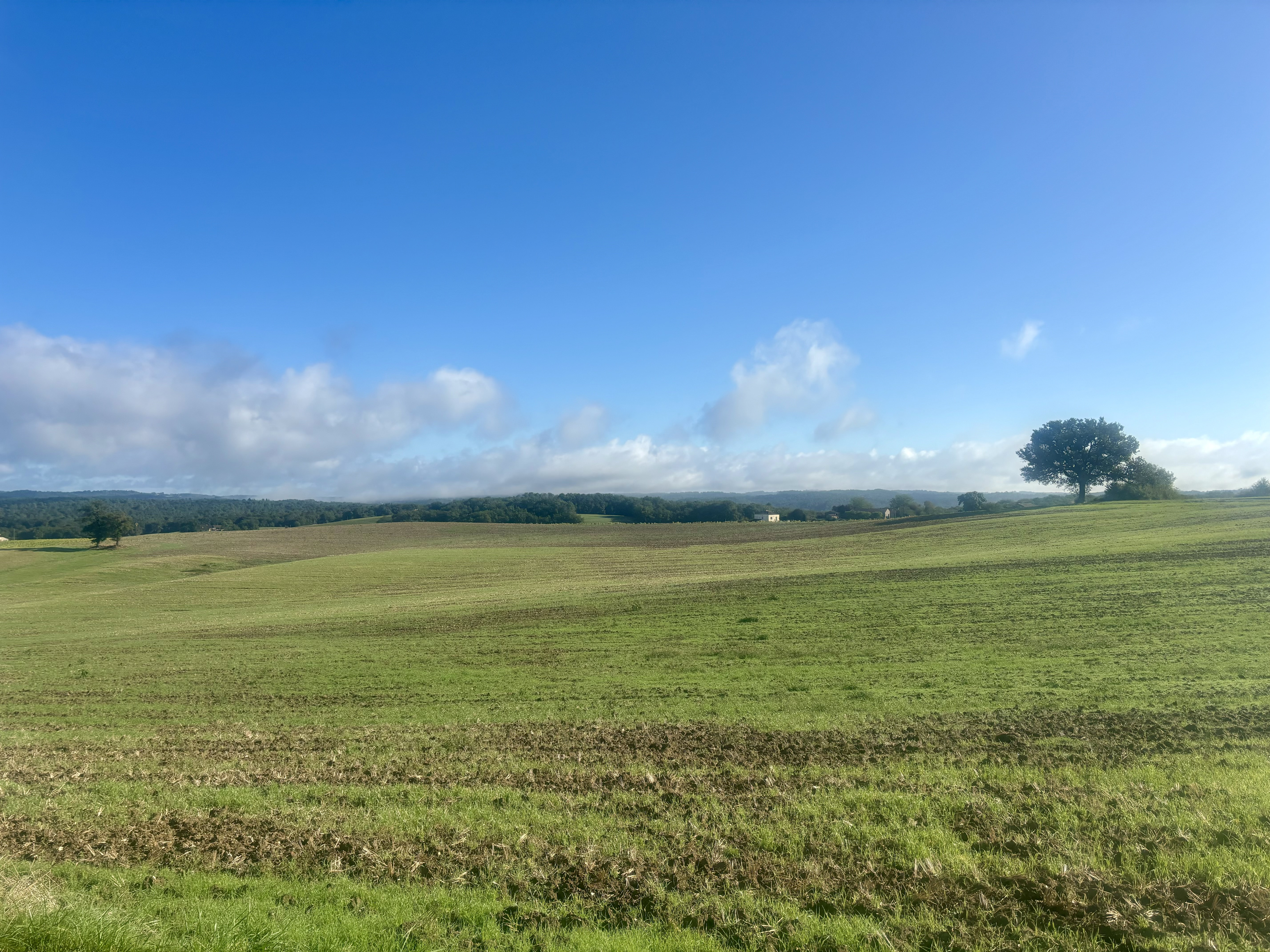 4 Bed, 2 Bath, HouseFor Sale, Monsempron libos, Lot-et-Garonne, Aquitaine, 47500