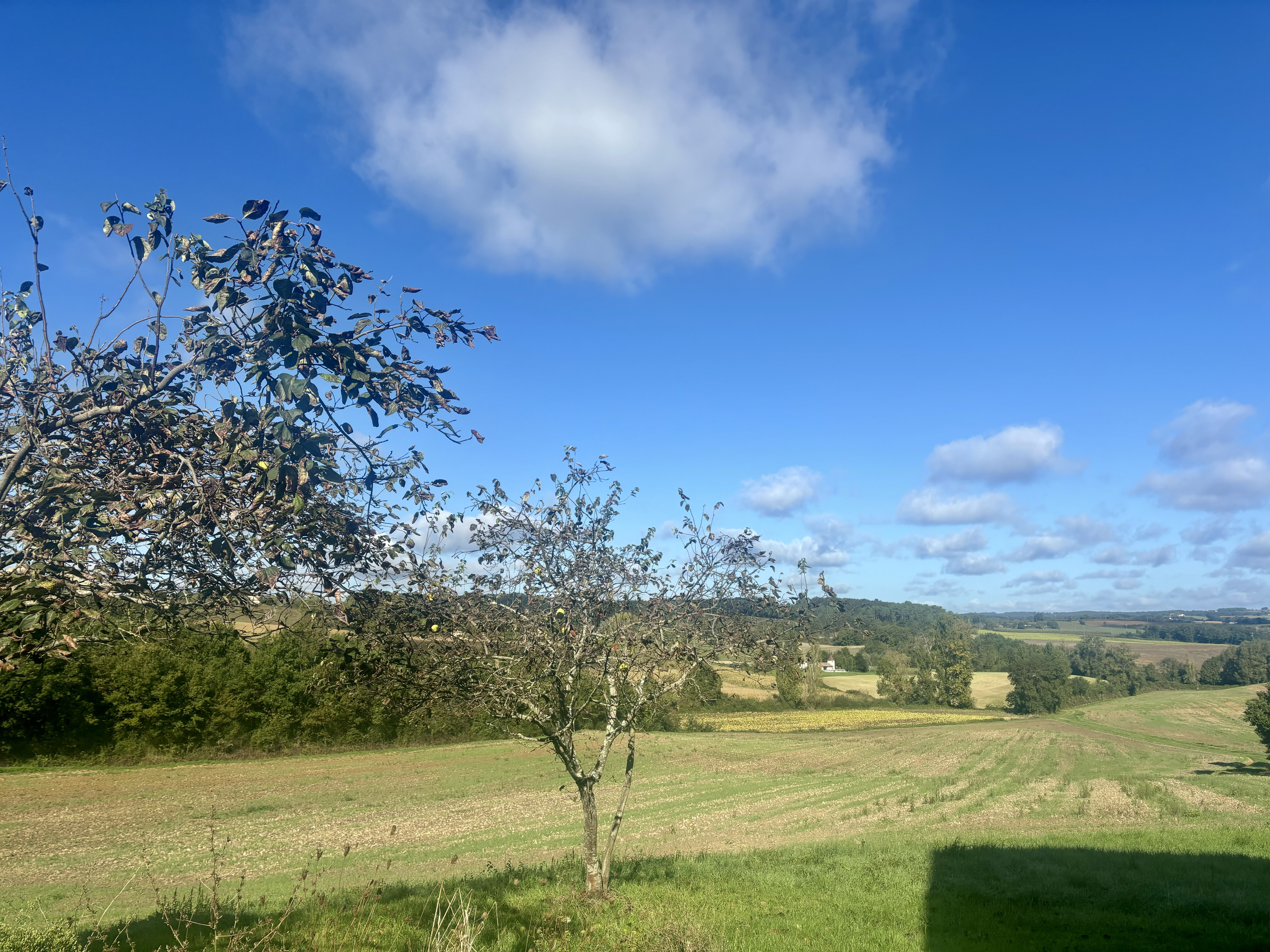 4 Bed, 2 Bath, HouseFor Sale, Monsempron libos, Lot-et-Garonne, Aquitaine, 47500