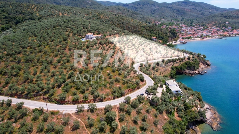 HouseFor Sale, Milina, Sipiada, Magnesia