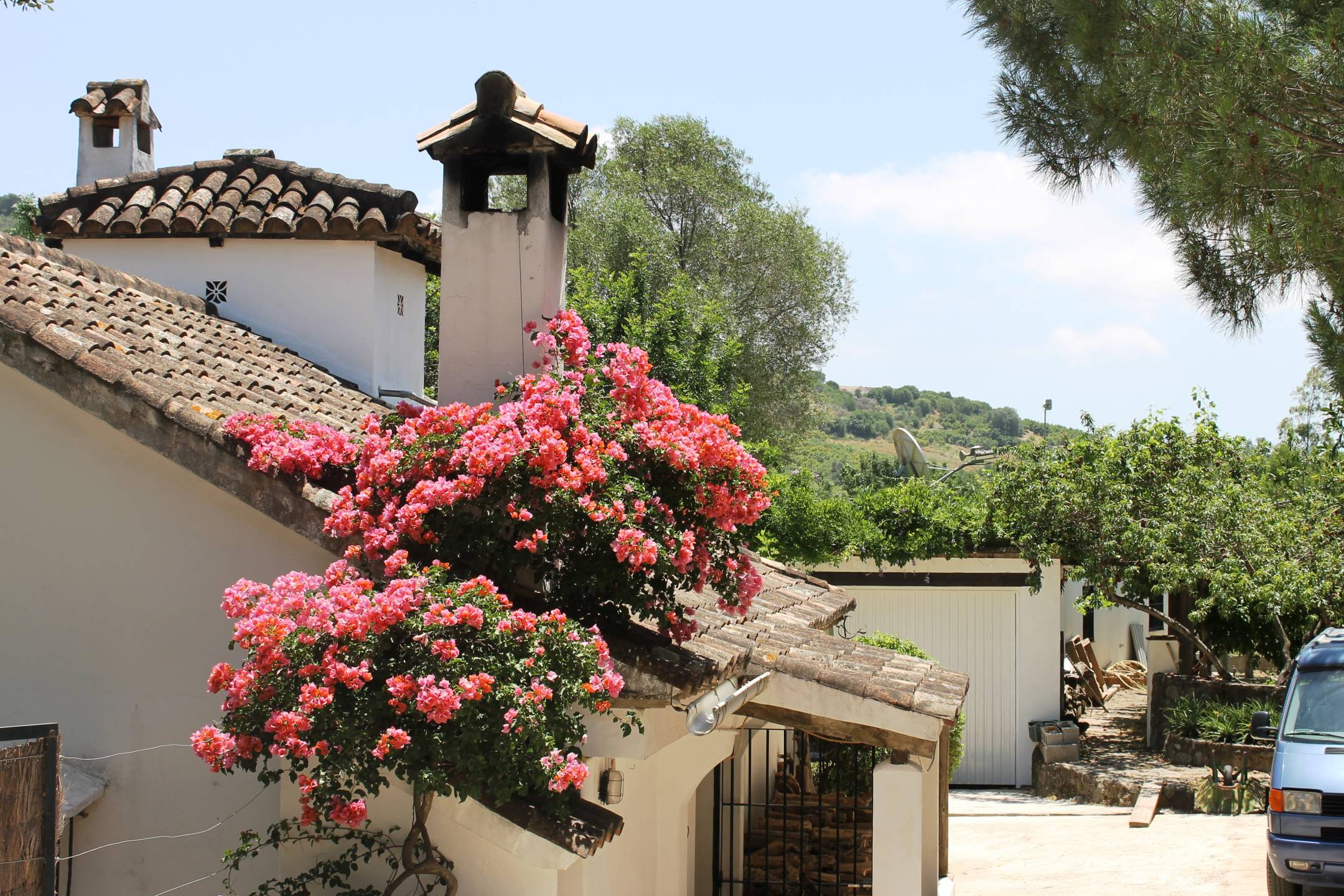 8 Bed, 8 Bath, HouseFor Sale, San Pablo De Buceite, Cadiz, 11320