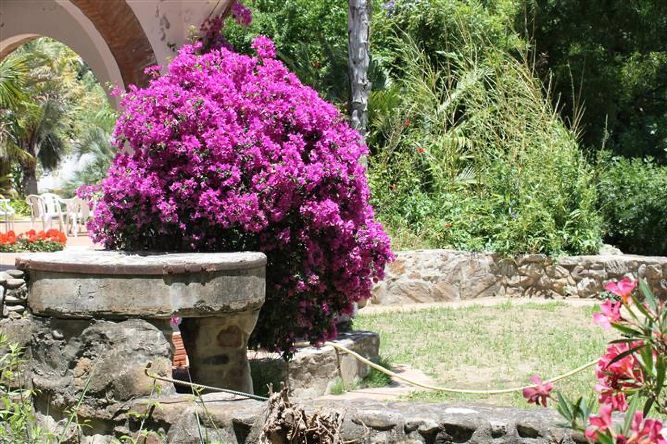 8 Bed, 8 Bath, HouseFor Sale, San Pablo De Buceite, Cadiz, 11320