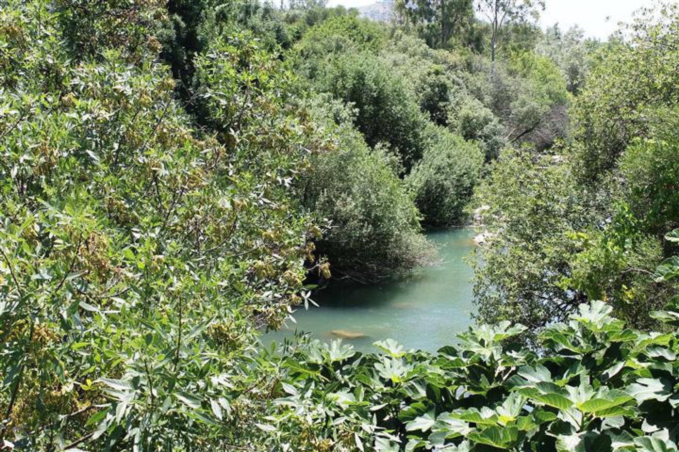 8 Bed, 8 Bath, HouseFor Sale, San Pablo De Buceite, Cadiz, 11320