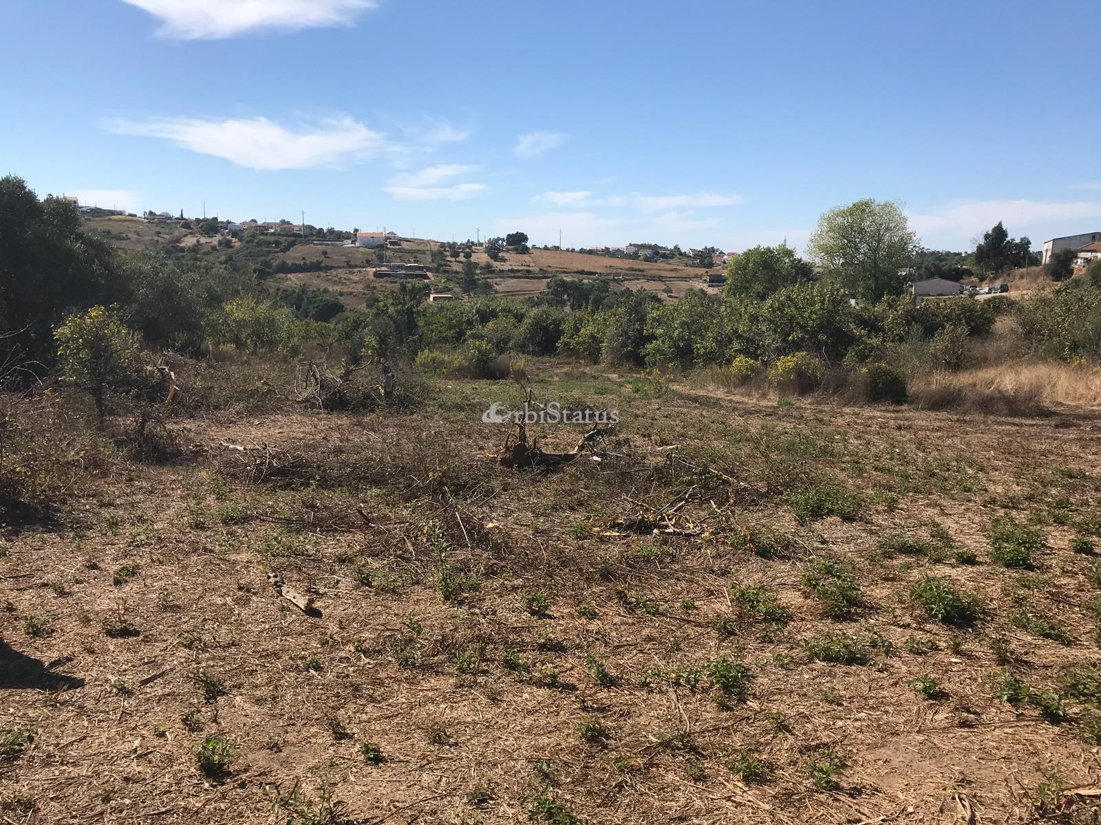 Land, For Sale