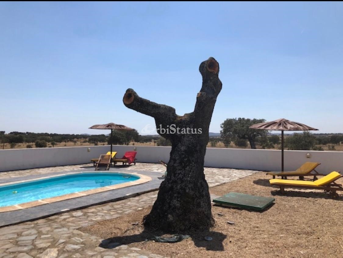 4 Bed, 2 Bath, HouseFor Sale, Reguengos de Monsaraz, Evora, 7250-282