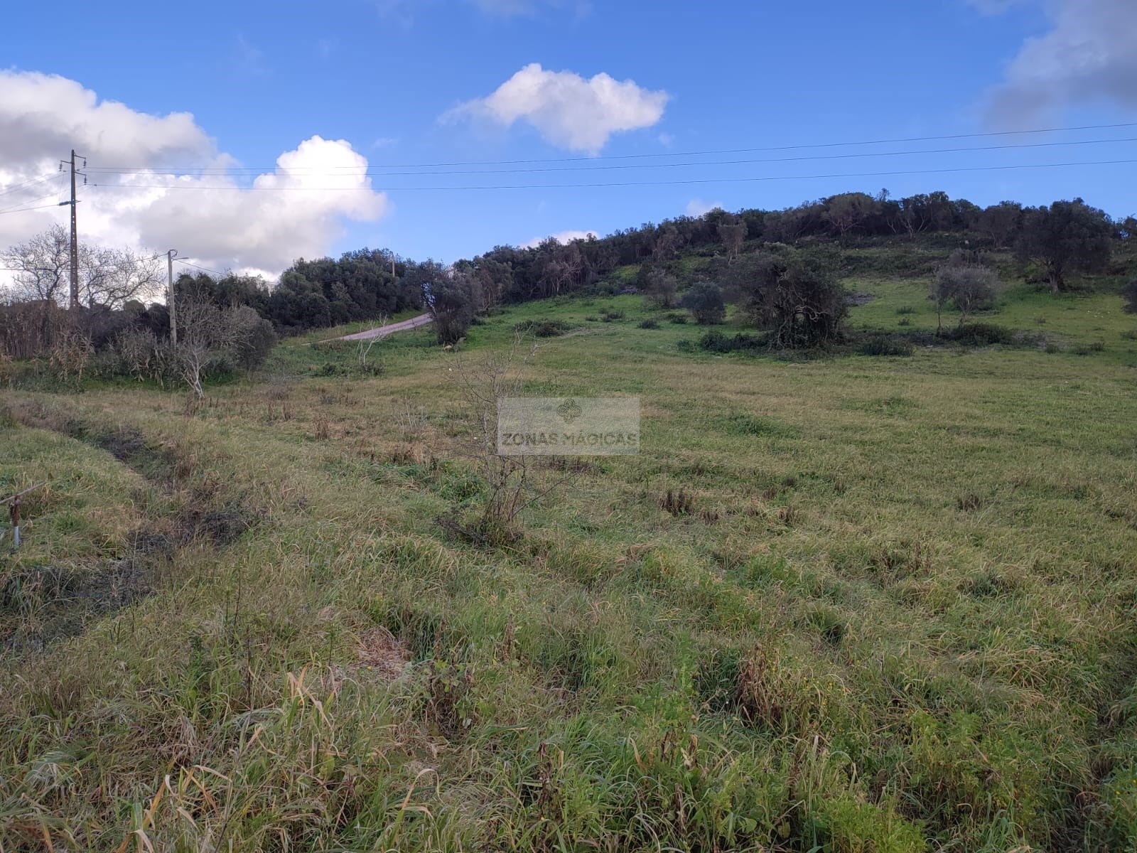 Land, For Sale