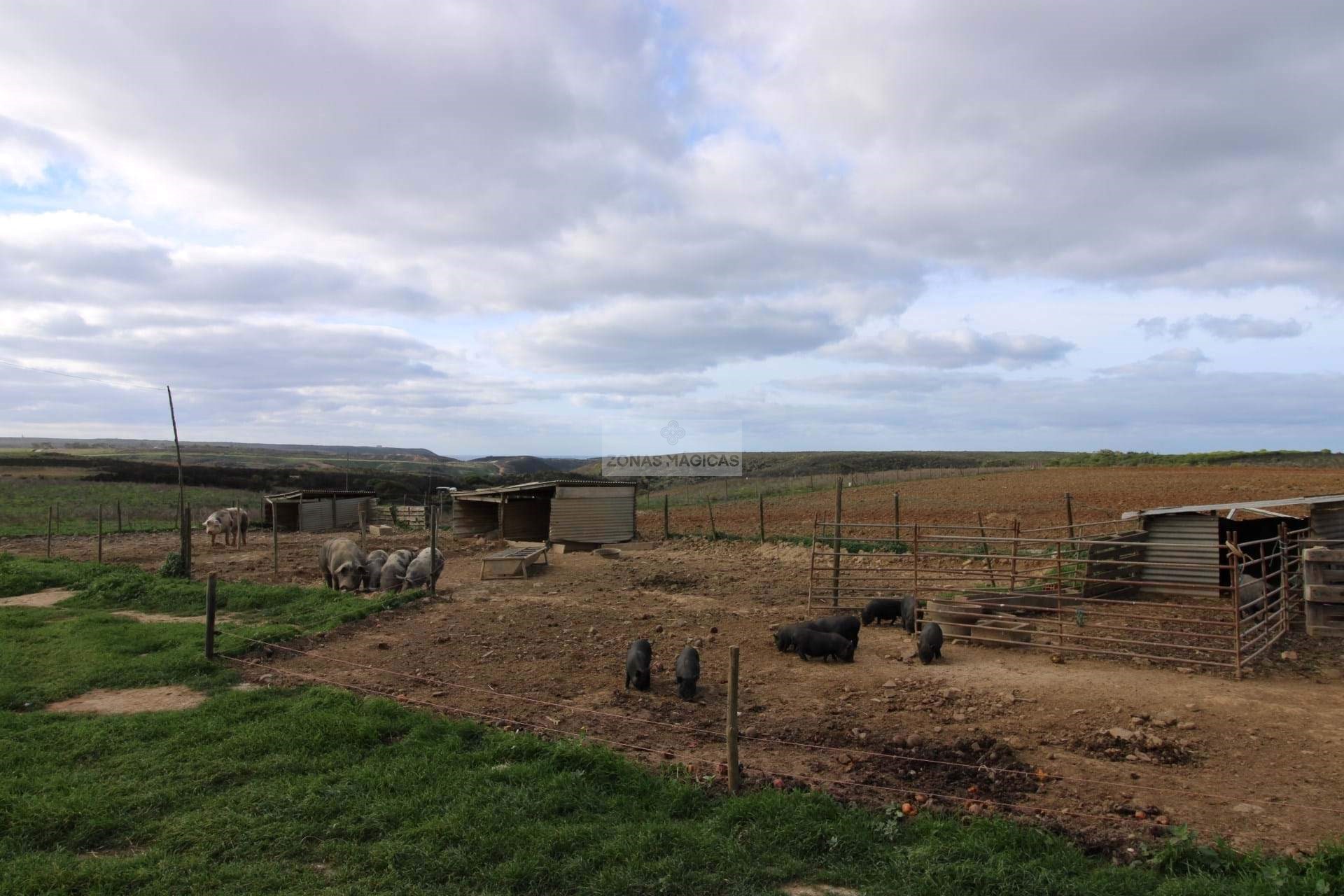 4 Bed, 2 Bath, HouseFor Sale, Vila do Bispo, Faro, 8650-409