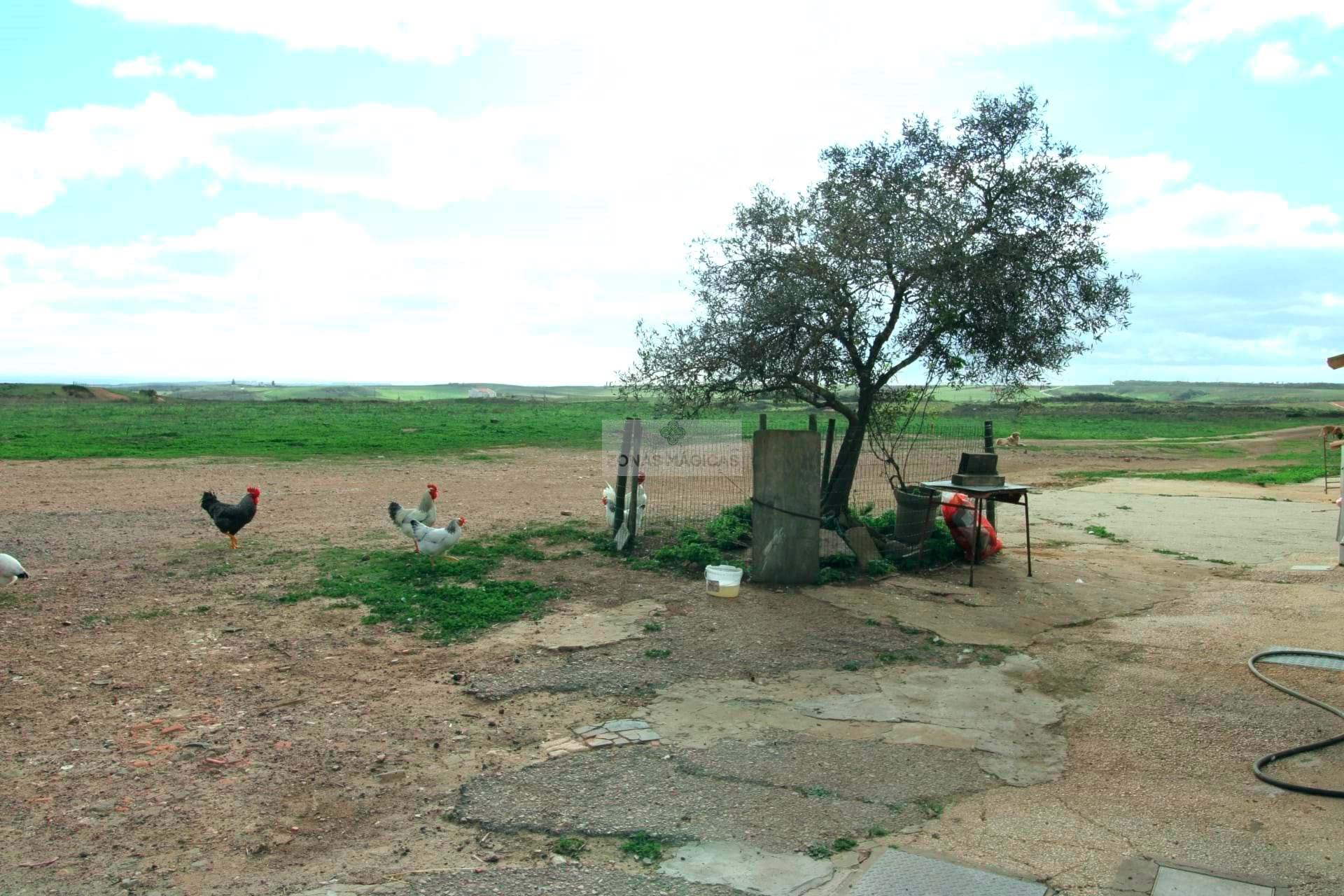 4 Bed, 2 Bath, HouseFor Sale, Vila do Bispo, Faro, 8650-409