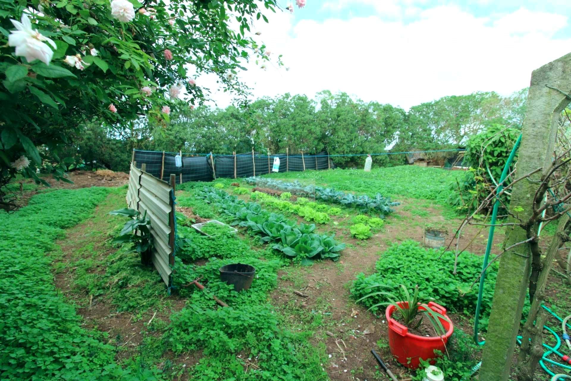 4 Bed, 2 Bath, HouseFor Sale, Vila do Bispo, Faro, 8650-409