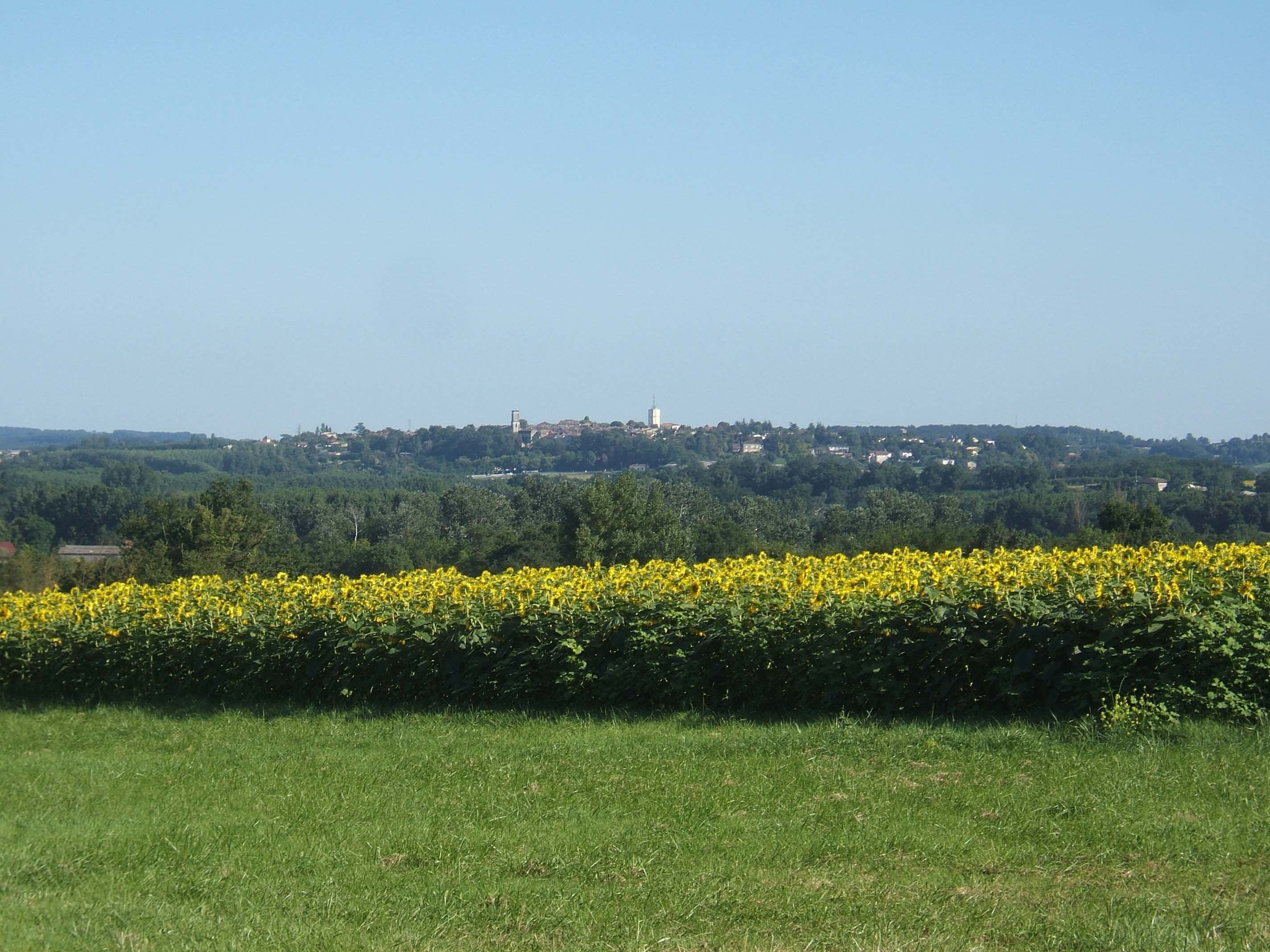 6 Bed, 1 Bath, HouseFor Sale, Saint-Quentin-Du-Dropt, Lot-et-Garonne, Aquitaine, 47330