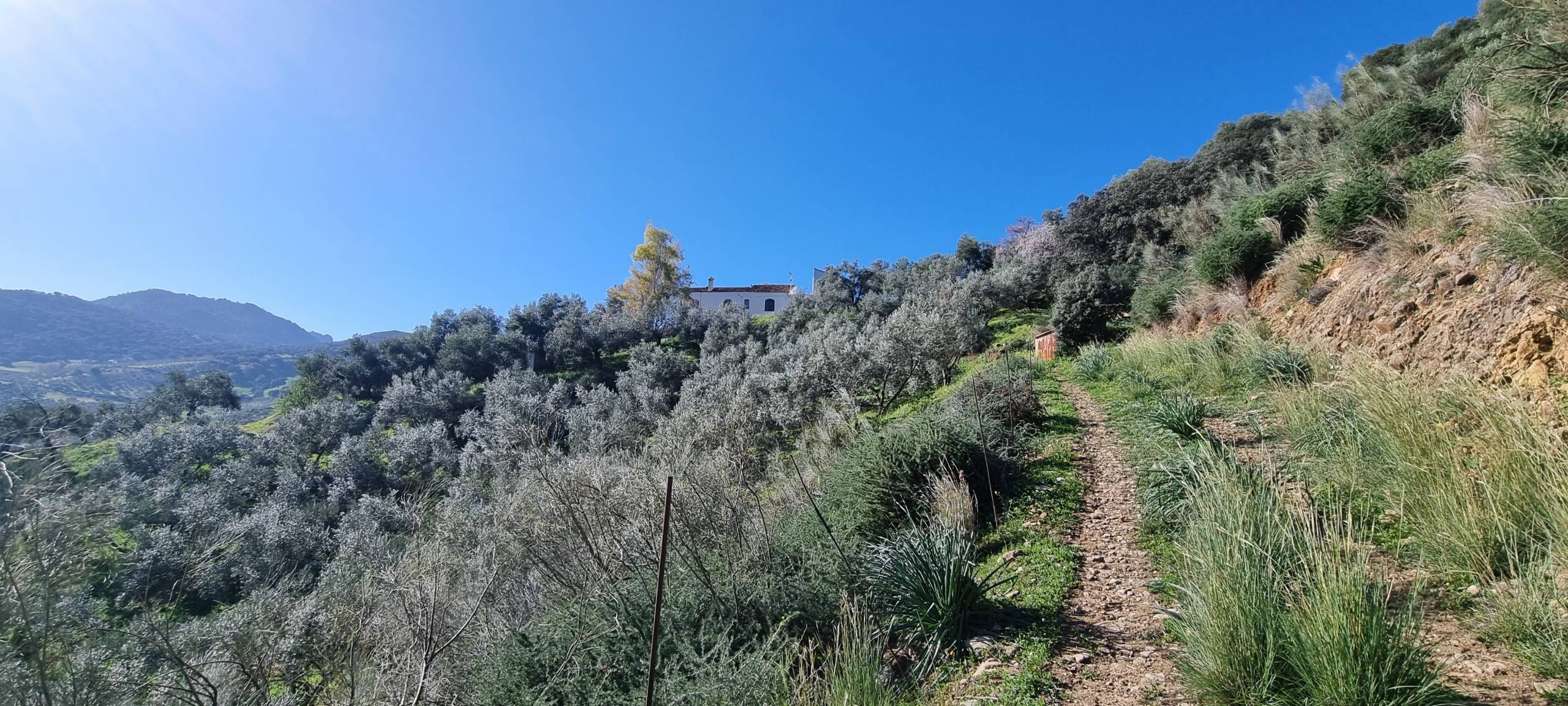 5 Bed, 4 Bath, HouseFor Sale, Montecorto, Malaga, 29430