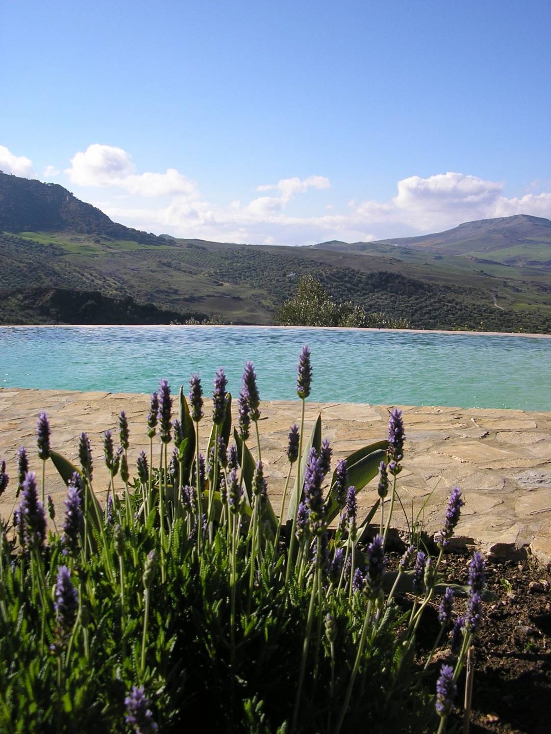 5 Bed, 4 Bath, HouseFor Sale, Montecorto, Malaga, 29430