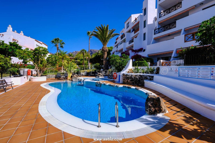 1 Bed, 1 Bath, ApartmentFor Sale, Sansofe Puerto, Puerto De Santiago