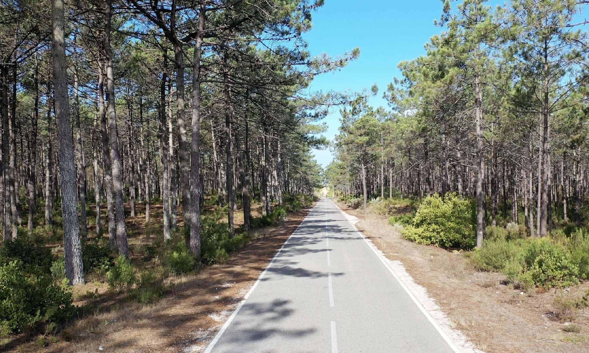 2 Bed, 2 Bath, ApartmentFor Sale, Nazaré, Leiria, 2445-512