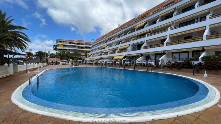 1 Bed, 1 Bath, ApartmentFor Sale, Sunflower 1, El Varadero