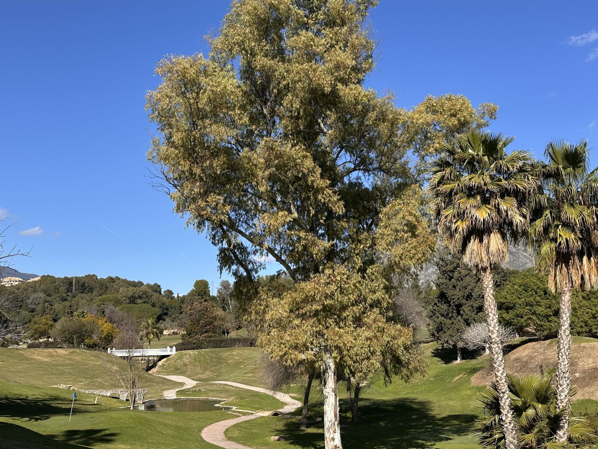 4 Bed, 3 Bath, HouseFor Sale, Aloha, Malaga