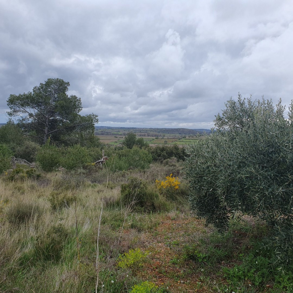 Land, For Sale