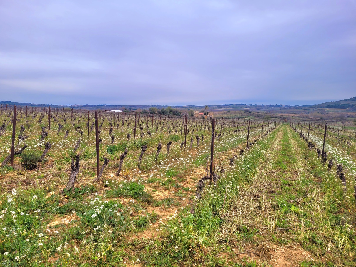 Other Property, For Sale