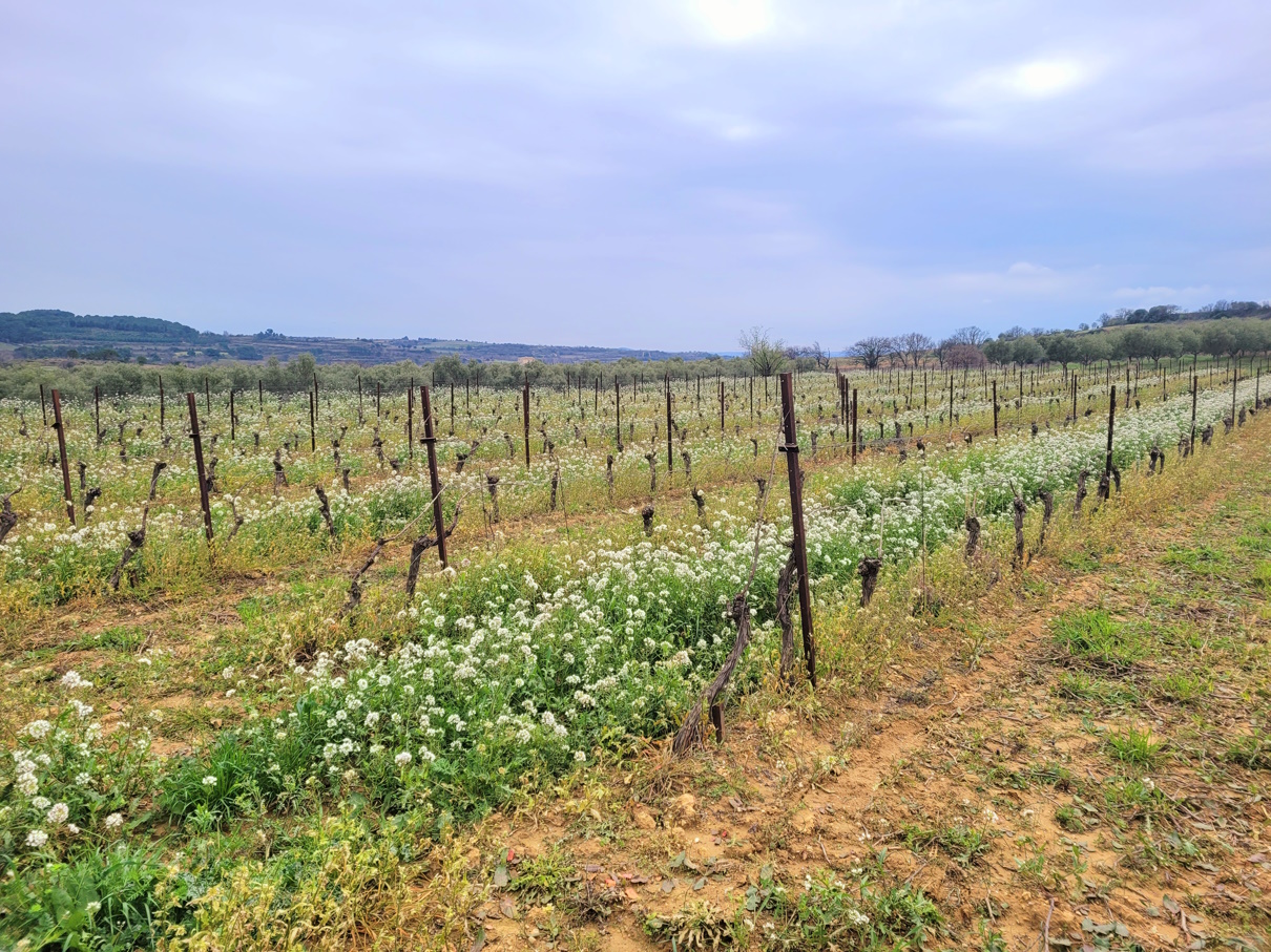 Other Property, For Sale