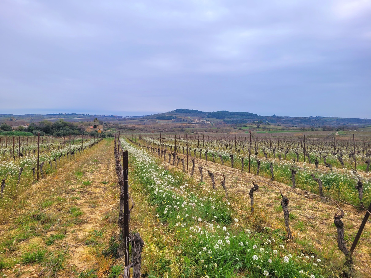 Other Property, For Sale