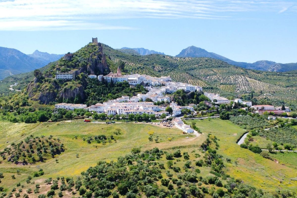 Commercial Property, For Sale