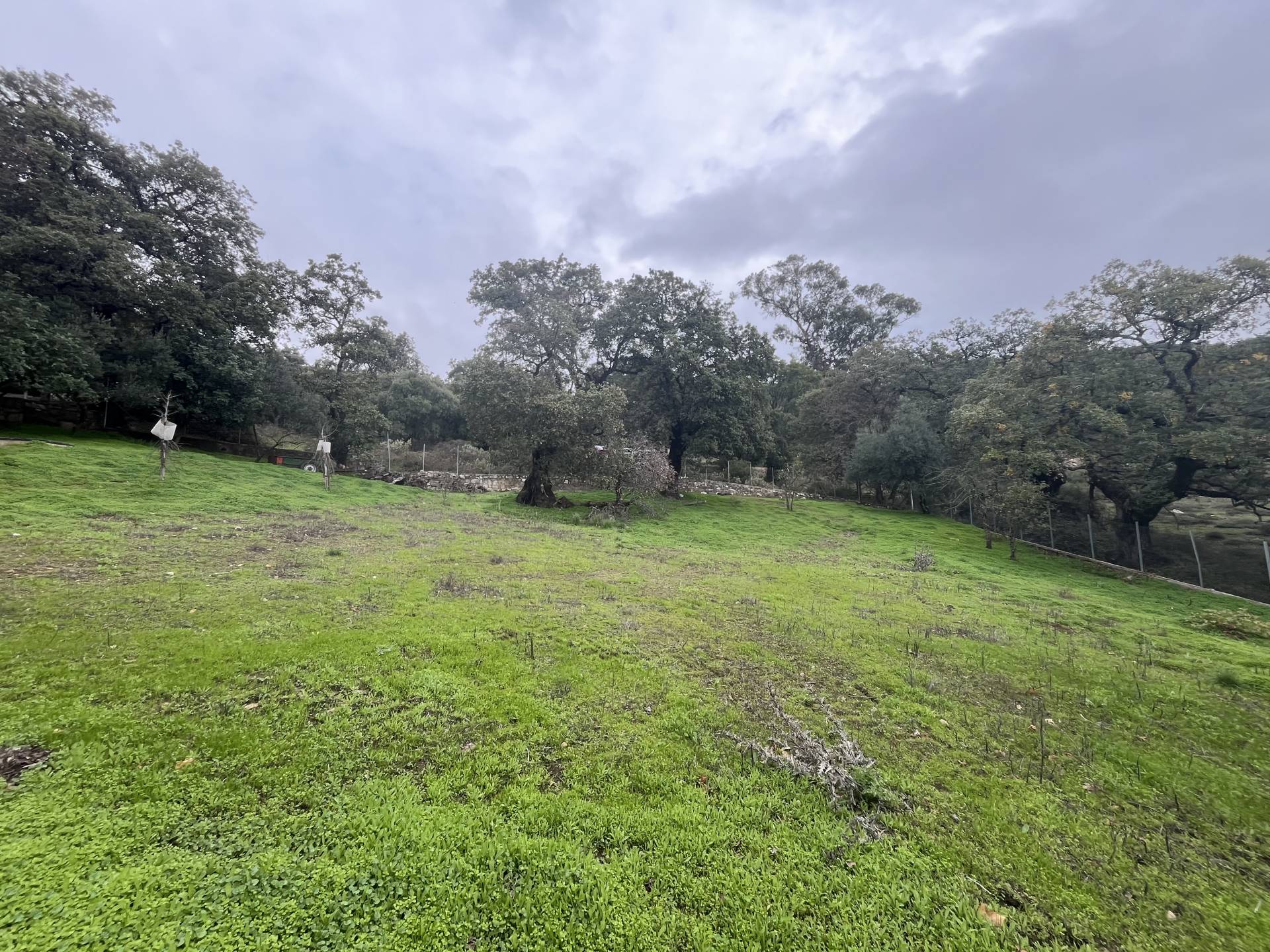 Commercial Property, For Sale