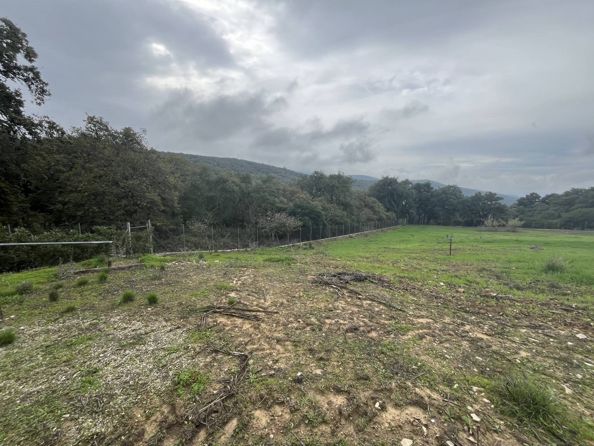 Commercial Property, For Sale