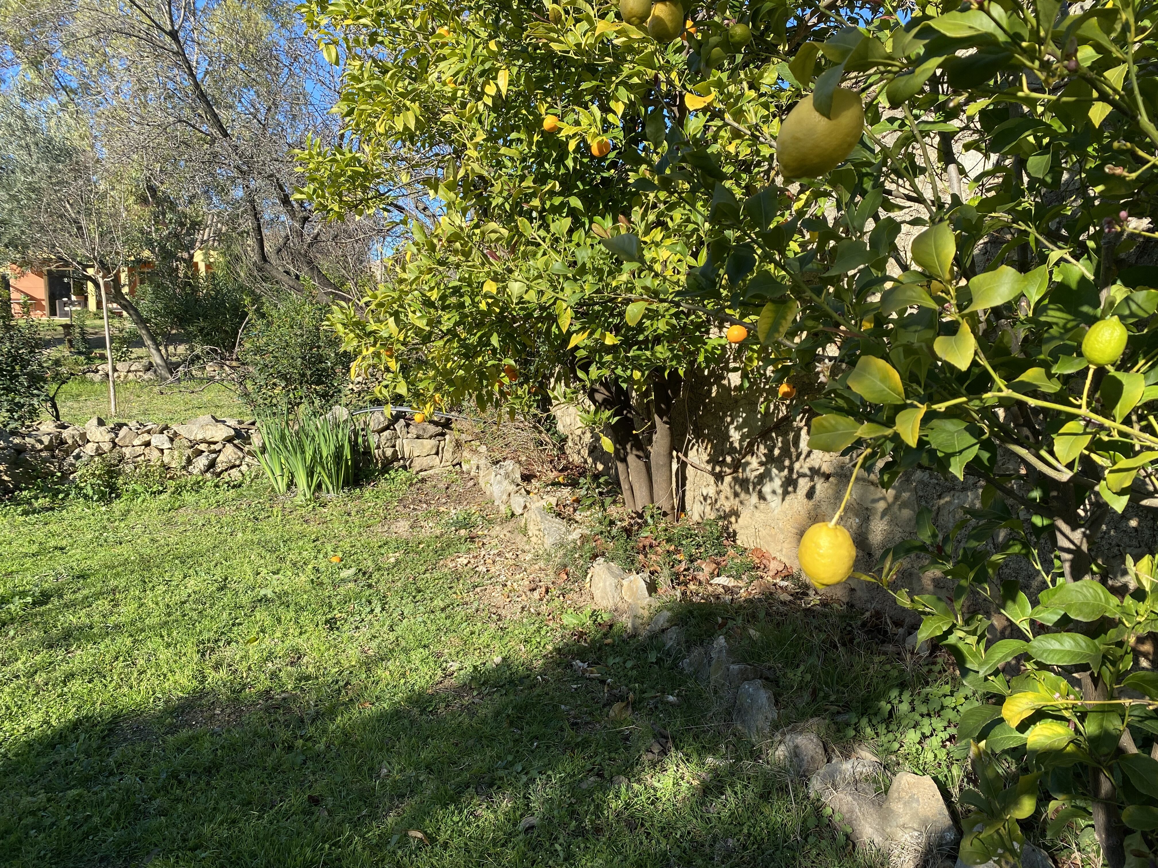 5 Bed, 3 Bath, HouseFor Sale, Autignac, Herault, Languedoc-Roussillon, 34480