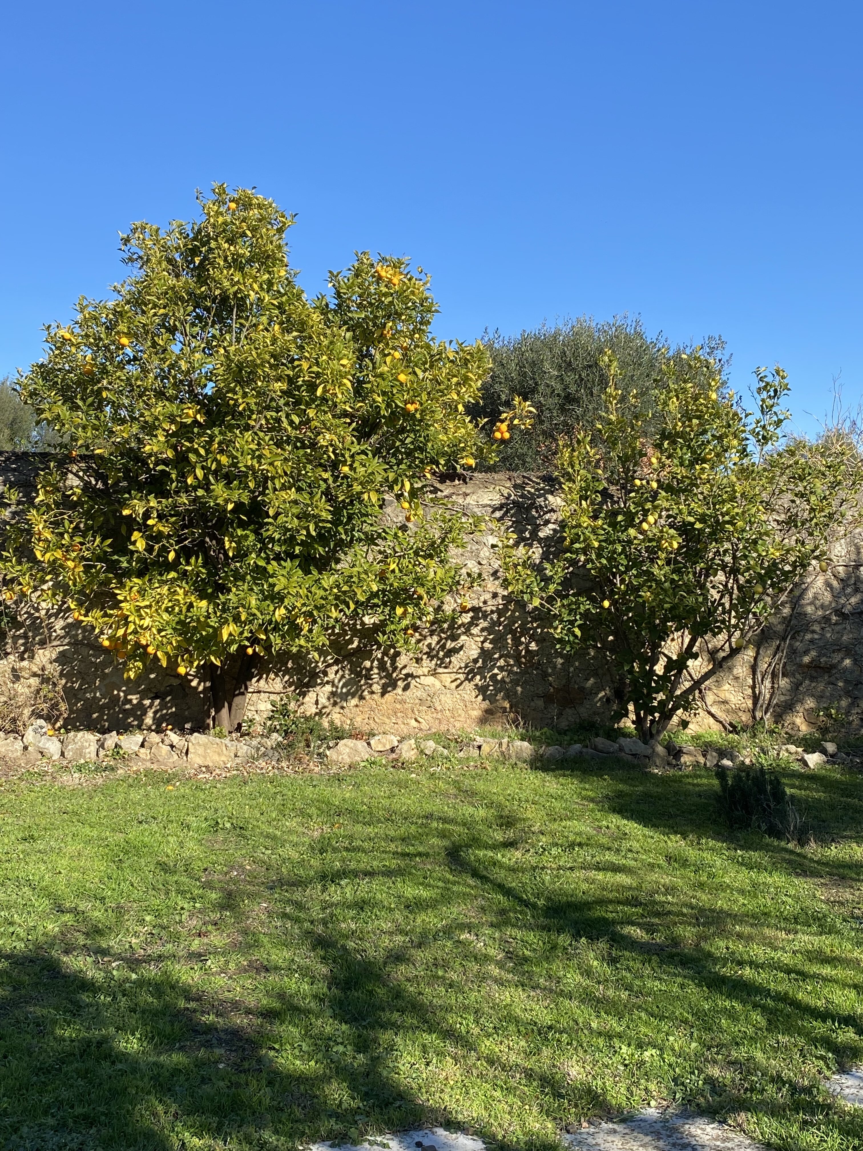 5 Bed, 3 Bath, HouseFor Sale, Autignac, Herault, Languedoc-Roussillon, 34480