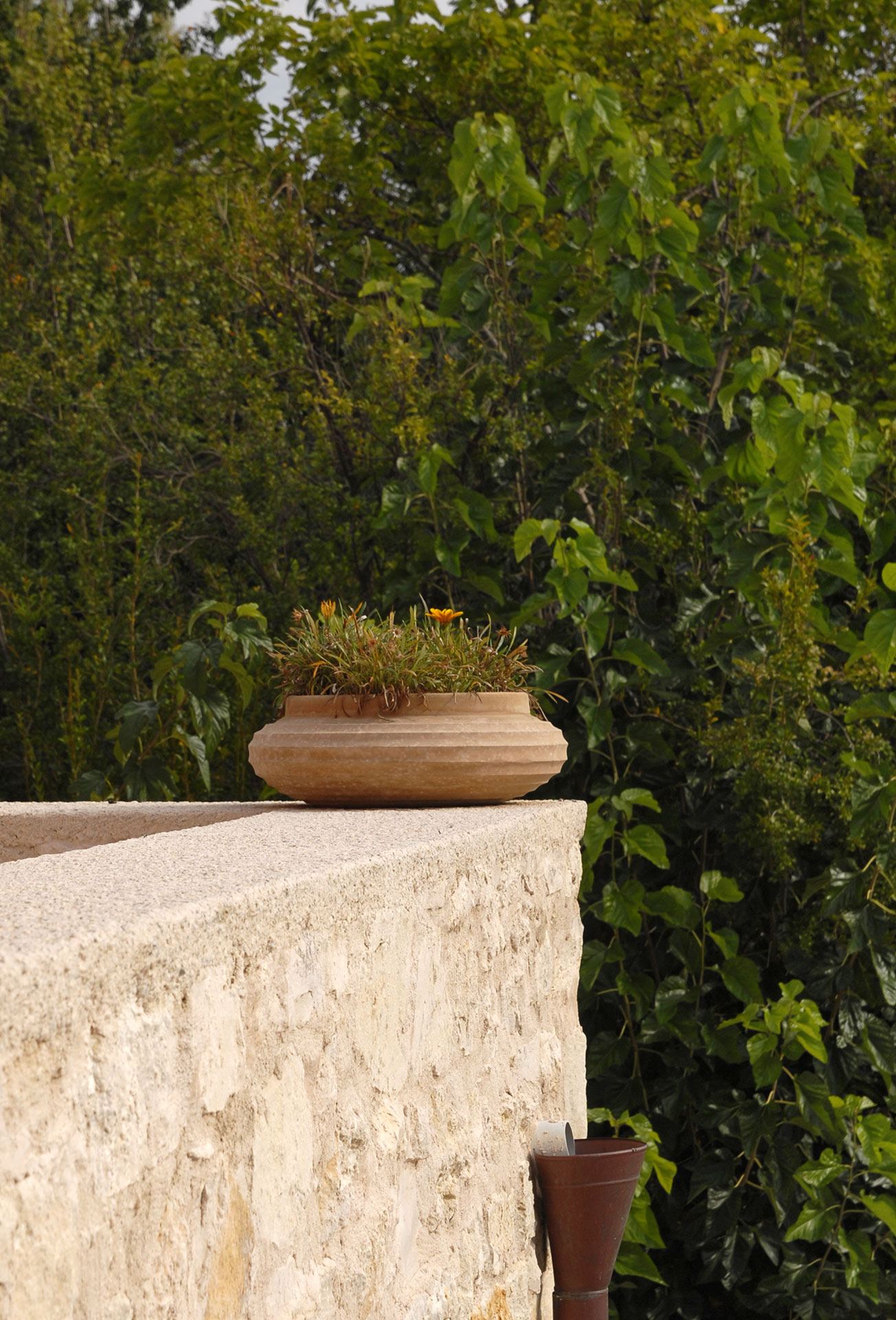 Commercial Property, For Sale