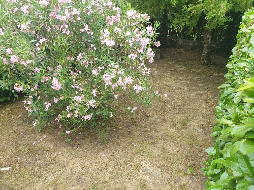 3 Bed, 1 Bath, HouseFor Sale, Lauzun, Lot-et-Garonne, Aquitaine, 47410