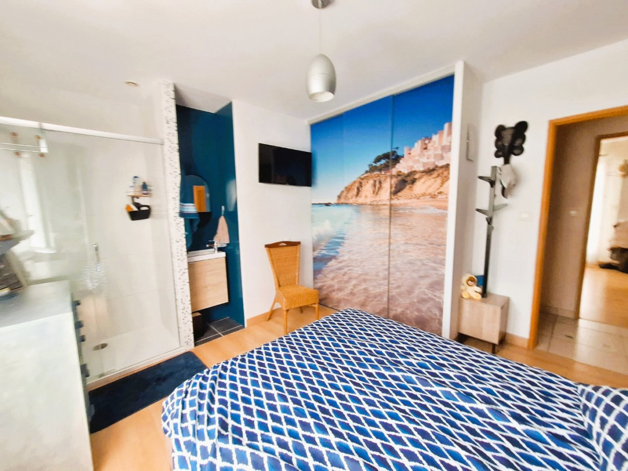 3 Bed, HouseFor Sale, Saint Cyprien, Pyrenees-Orientales, Languedoc-Roussillon, 66750