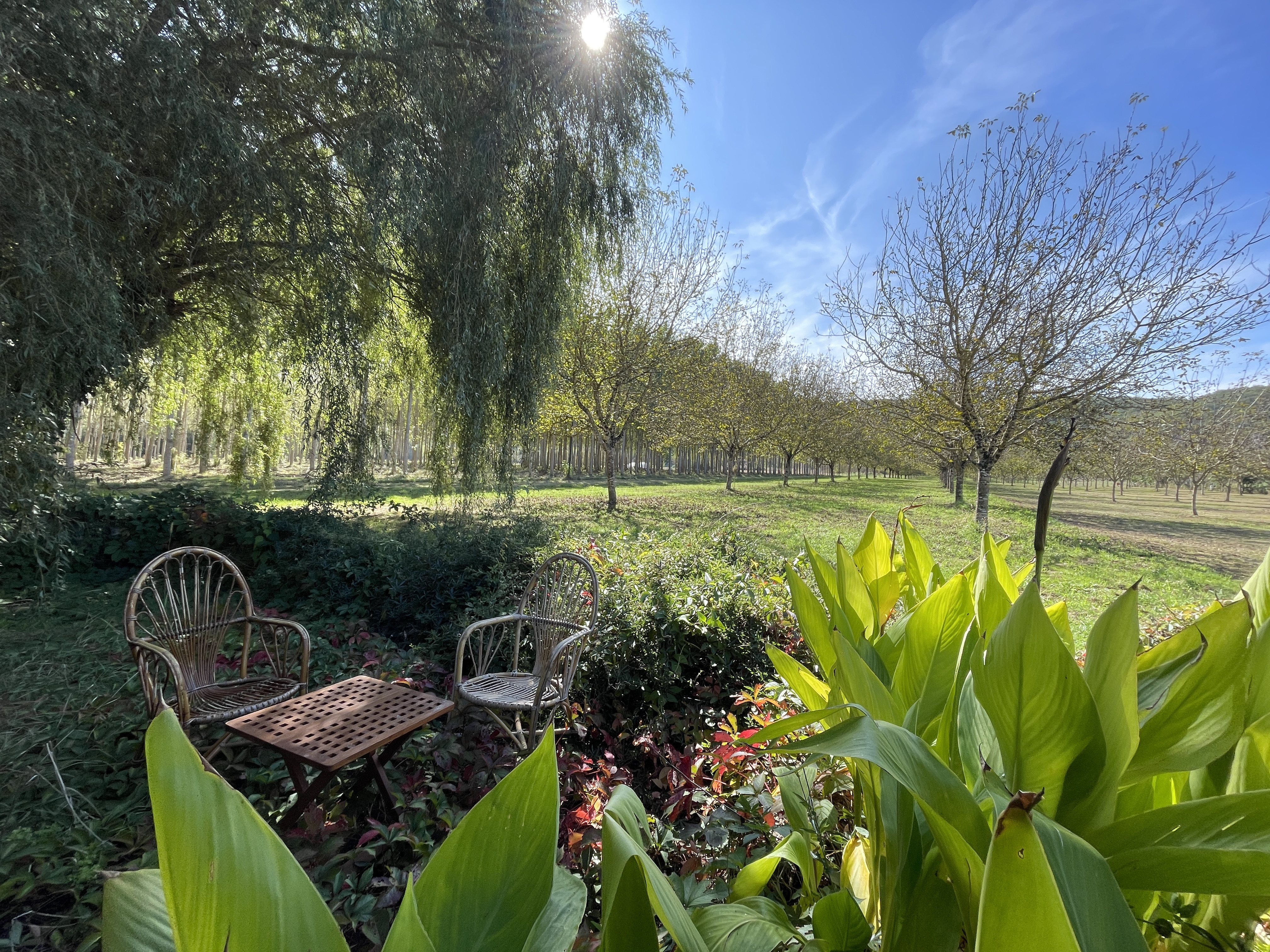 2 Bed, 1 Bath, HouseFor Sale, Allas les mines, Dordogne, Aquitaine, 24220