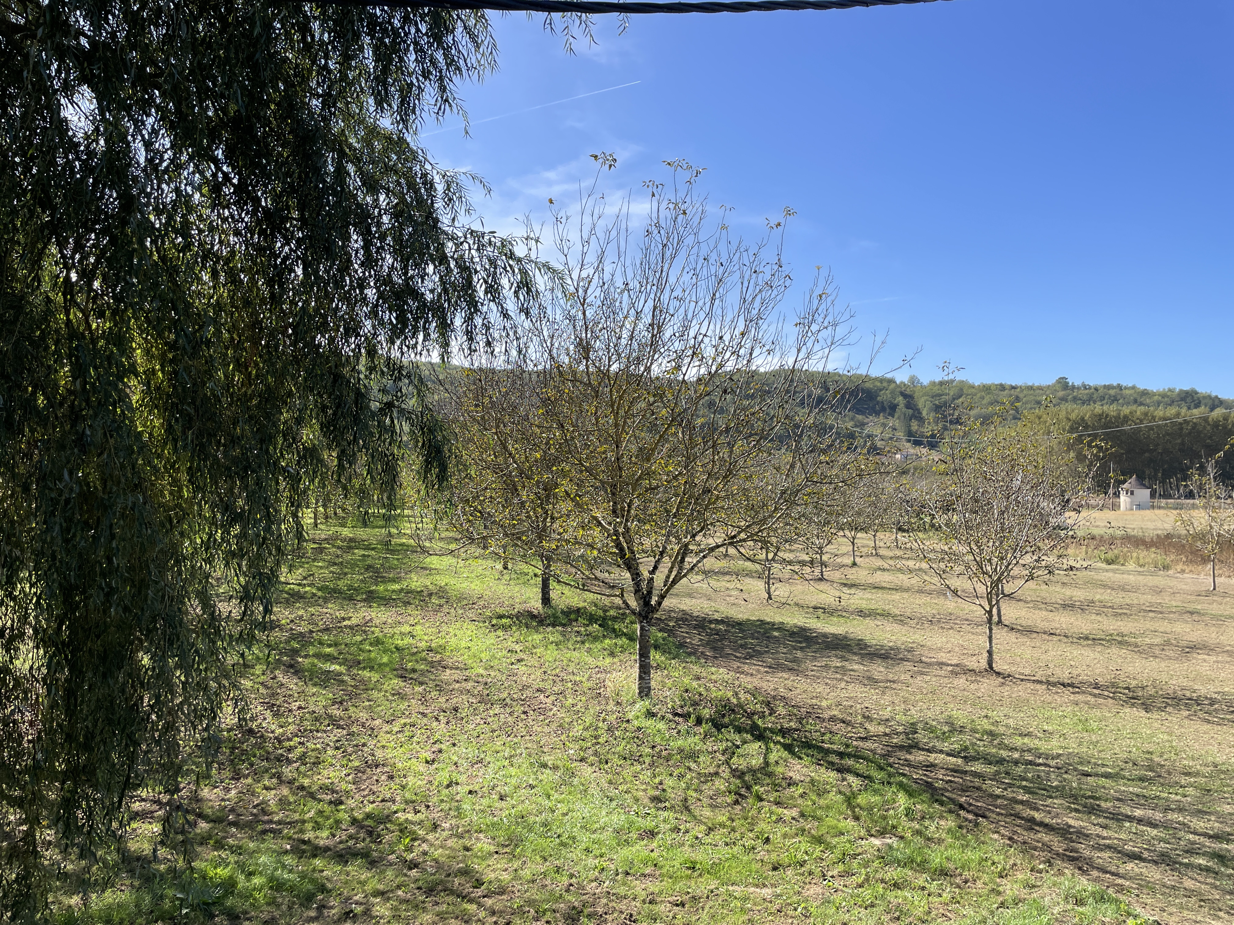 2 Bed, 1 Bath, HouseFor Sale, Allas les mines, Dordogne, Aquitaine, 24220