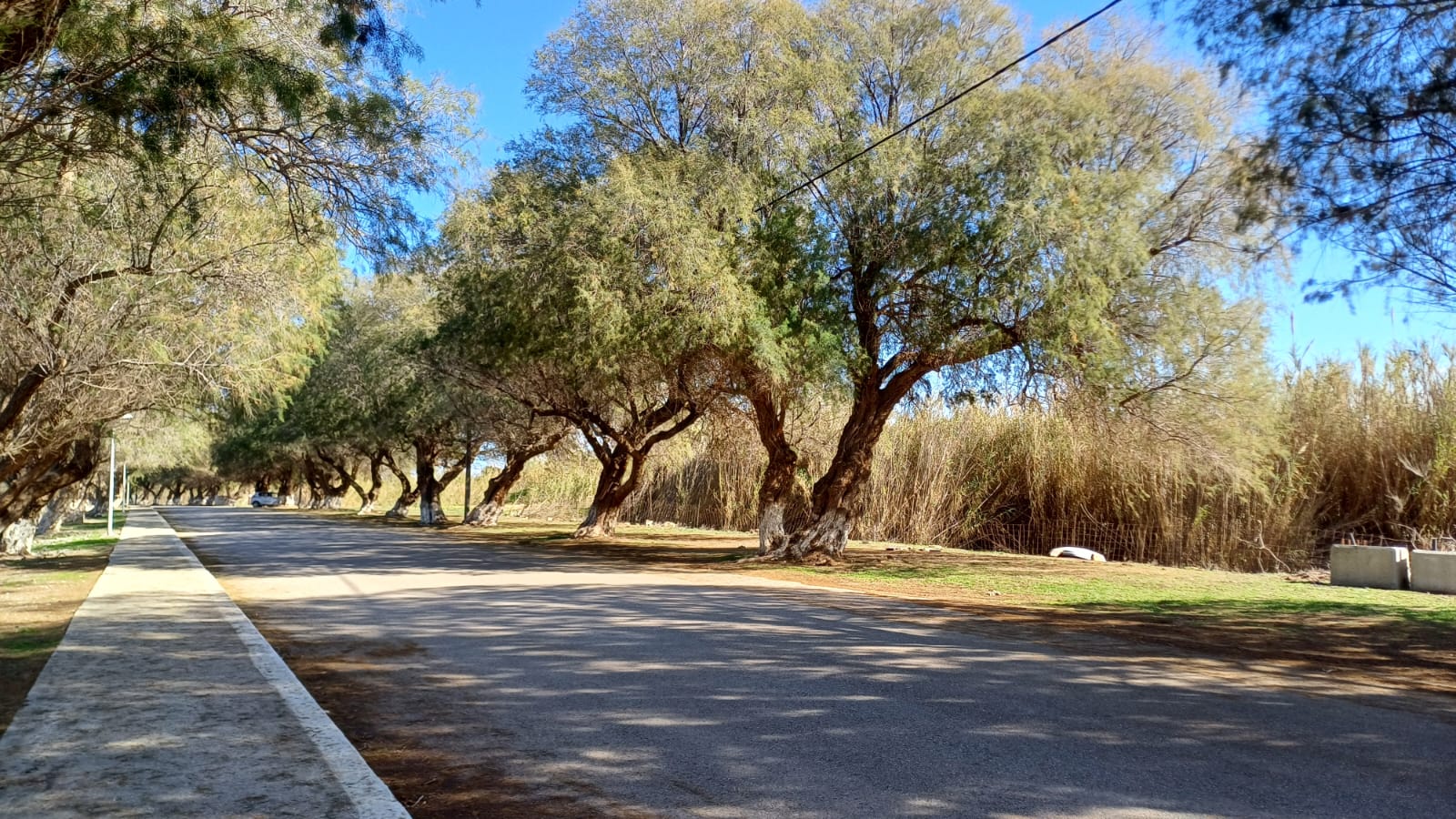 1 Bed, 1 Bath, ApartmentFor Sale, Chania, Crete