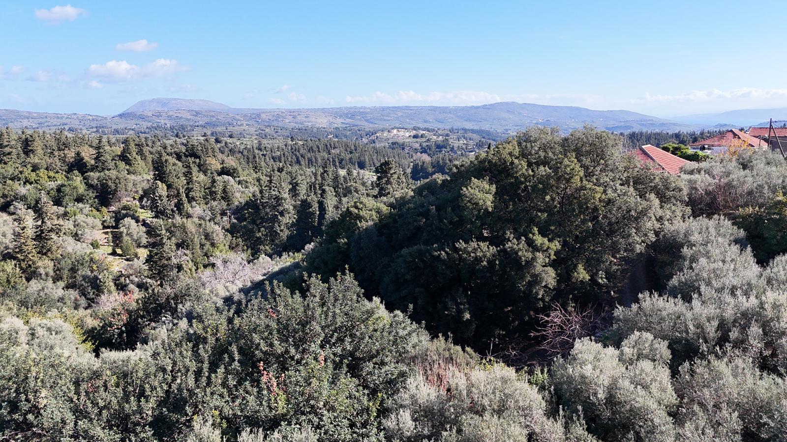 Commercial Property, For Sale