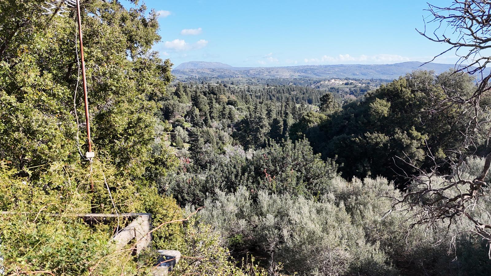 Commercial Property, For Sale