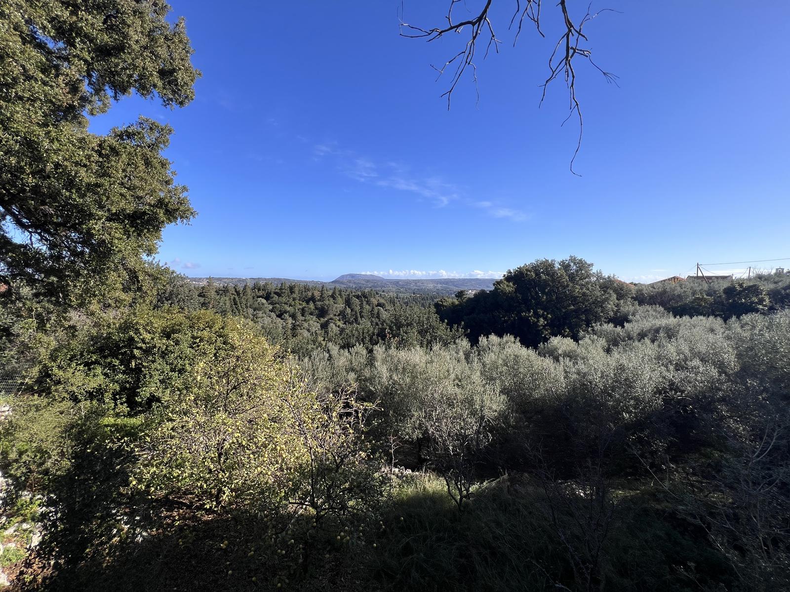 Commercial Property, For Sale