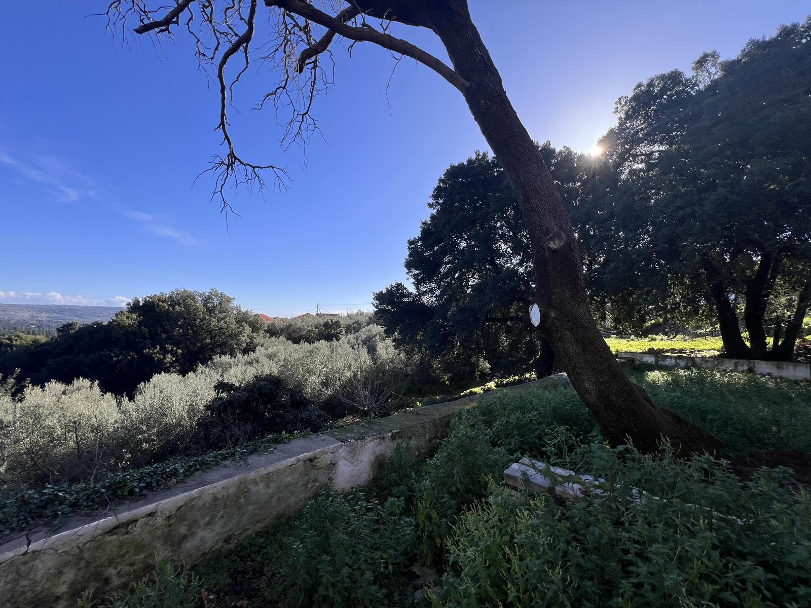 Commercial Property, For Sale