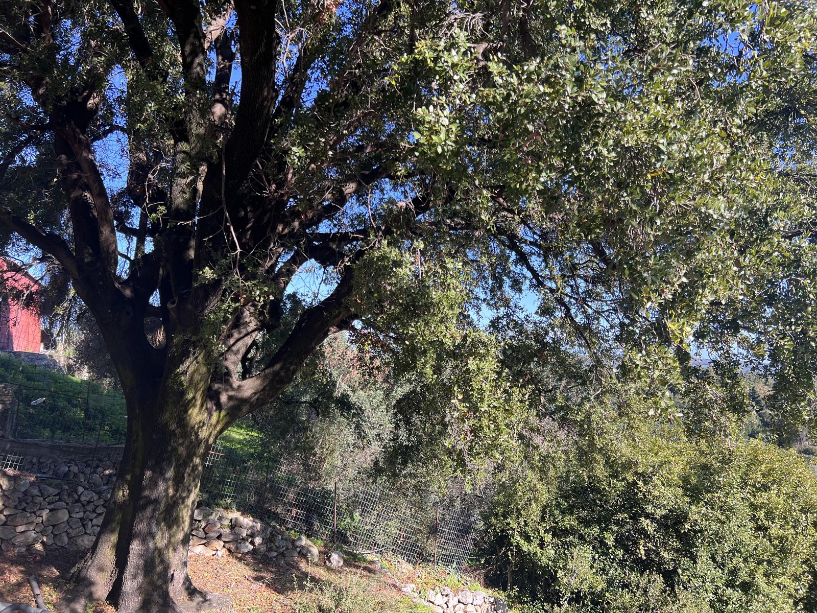 Commercial Property, For Sale