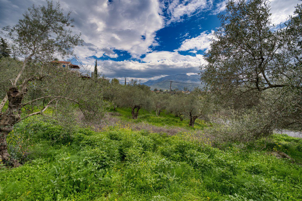 1 Bed, 1 Bath, HouseFor Sale, Chania, Crete