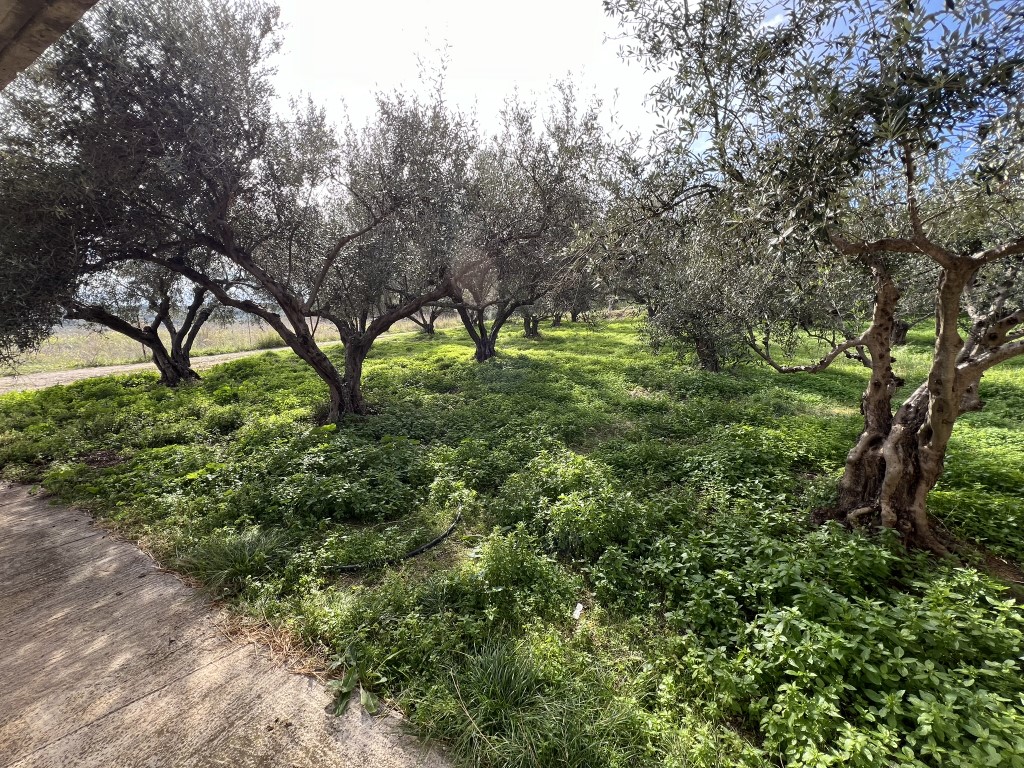 2 Bed, 1 Bath, HouseFor Sale, Chania, Crete