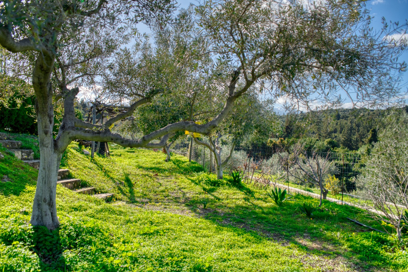 5 Bed, 5 Bath, HouseFor Sale, Chania, Crete