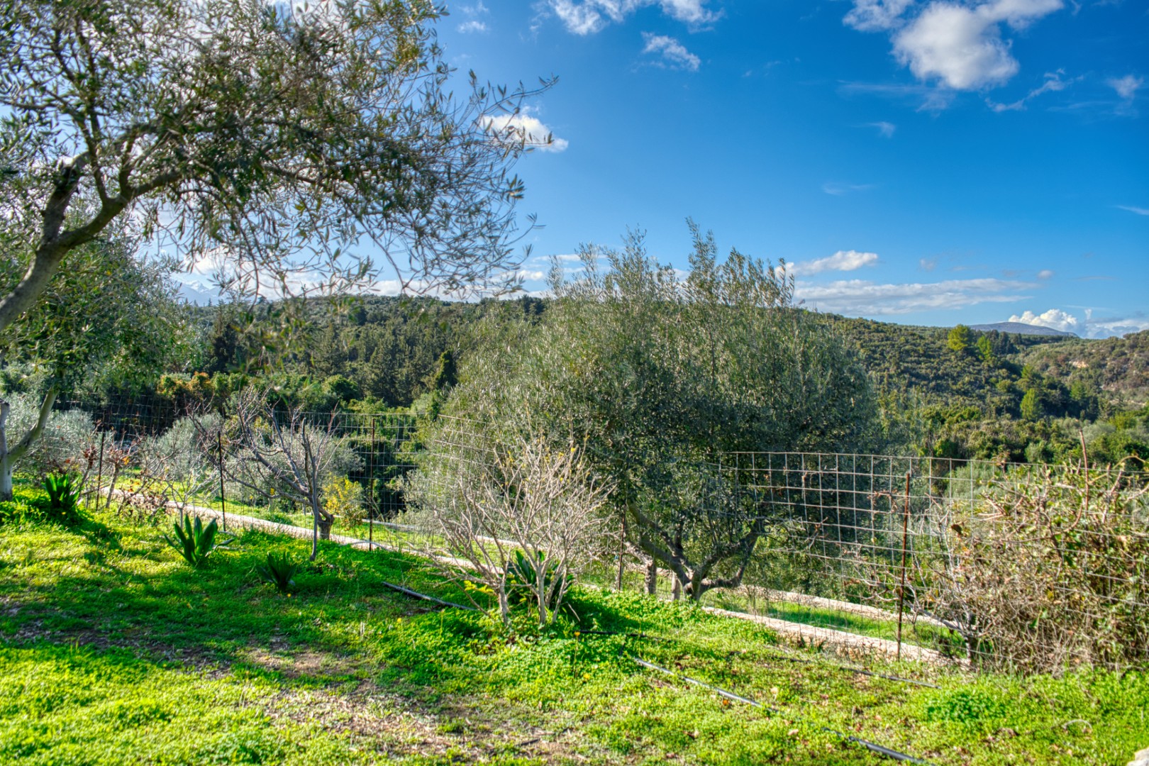 5 Bed, 5 Bath, HouseFor Sale, Chania, Crete