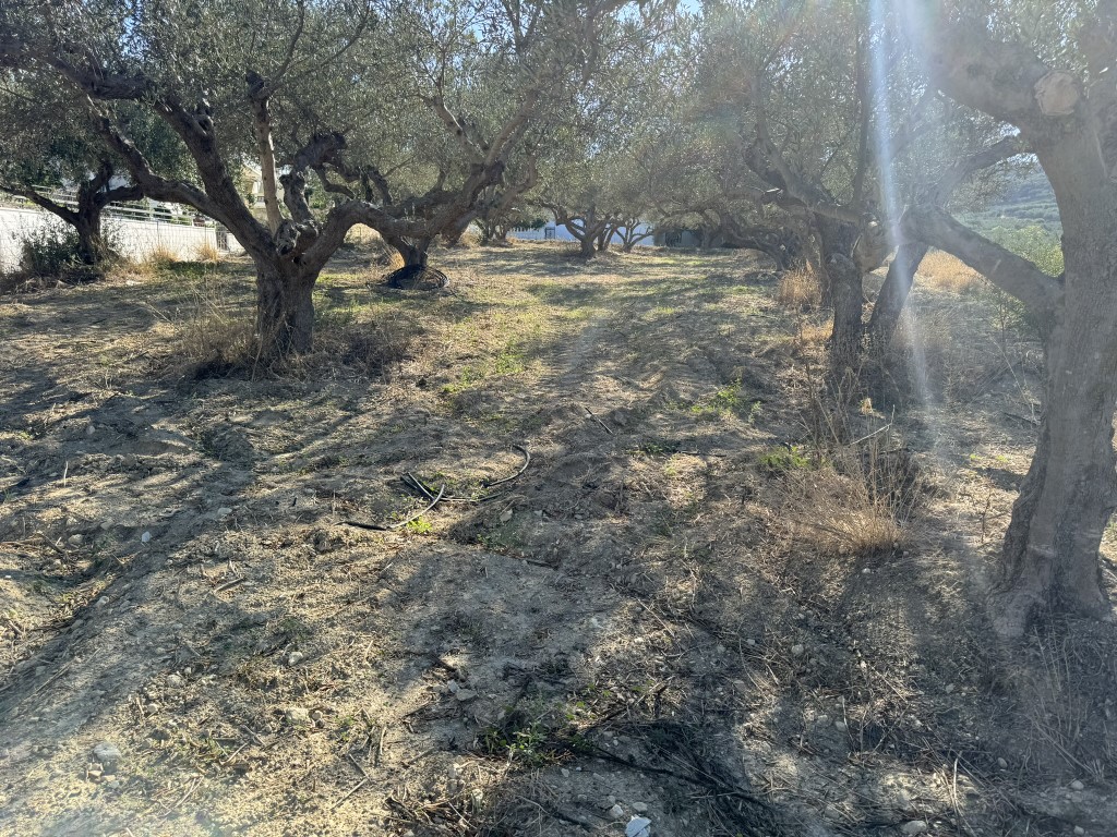 Land, For Sale