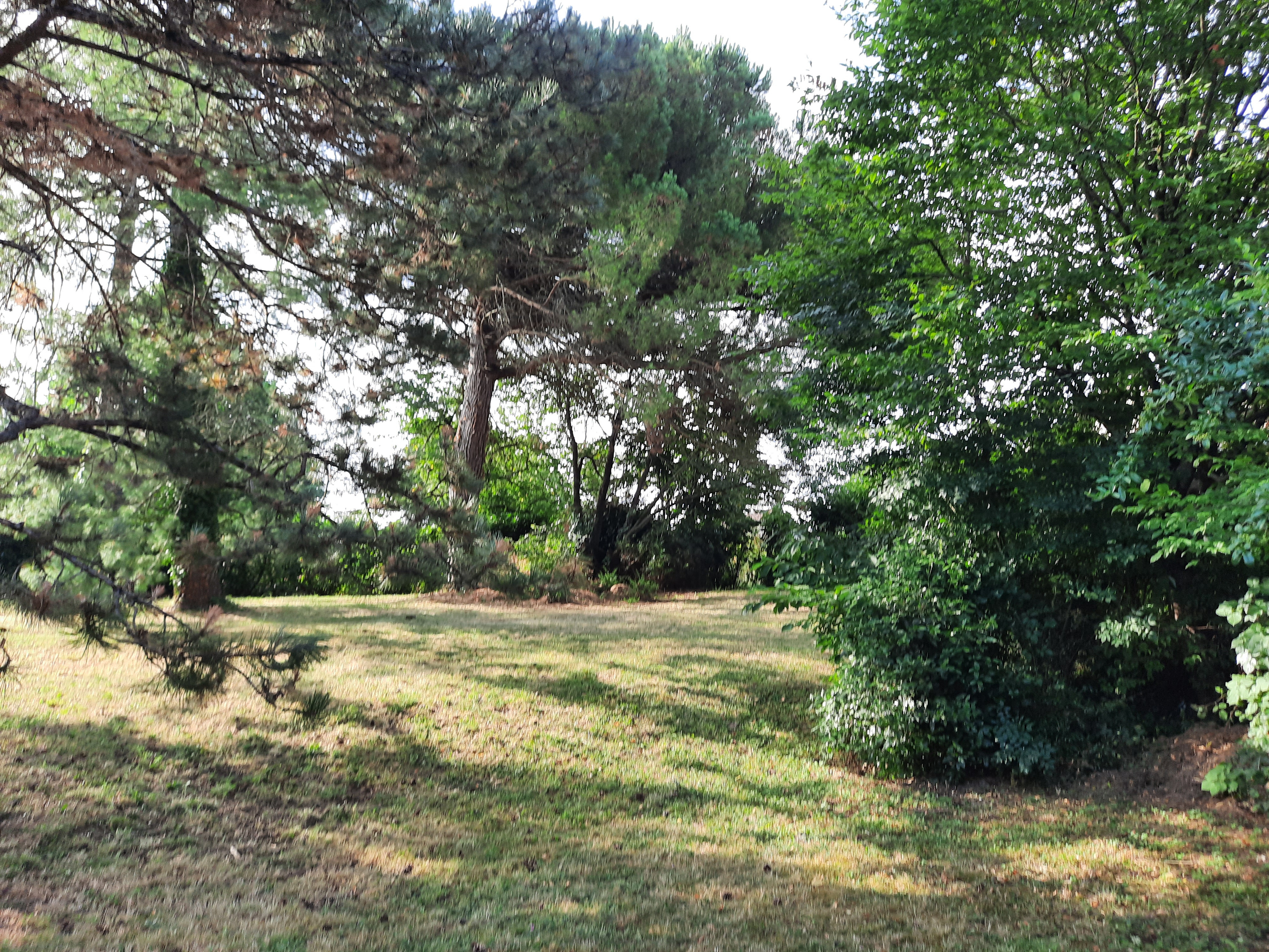 5 Bed, 1 Bath, HouseFor Sale, Miramont de guyenne, Lot-et-Garonne, Aquitaine, 47800