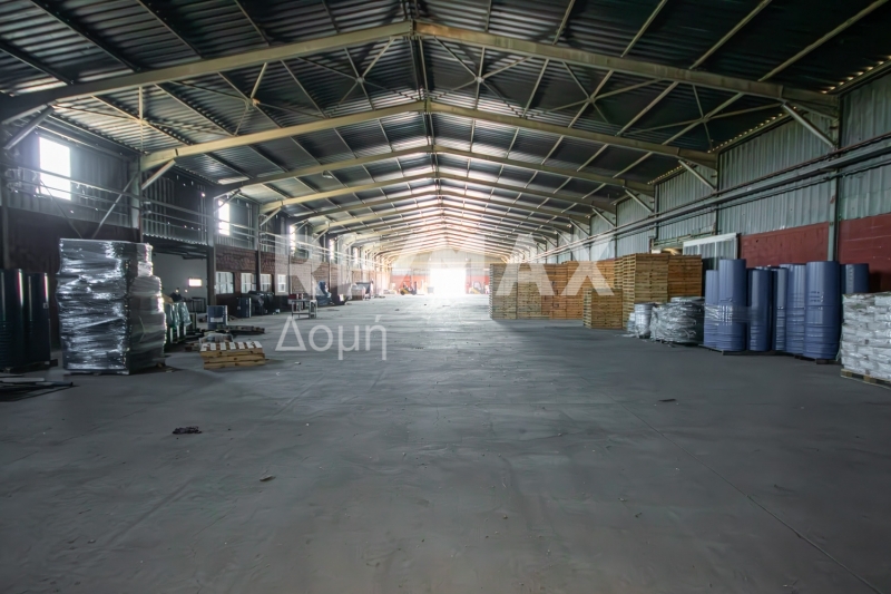 10 Bed, HouseFor Sale, Neos Platanos, Almiros, Magnesia